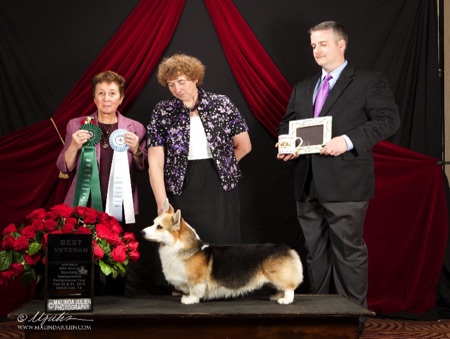 GHPWCF 2015 Specialty - Select Dog & Best Veteran