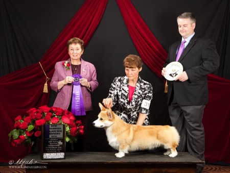 GHPWCF 2015 Specialty - Winners Dog